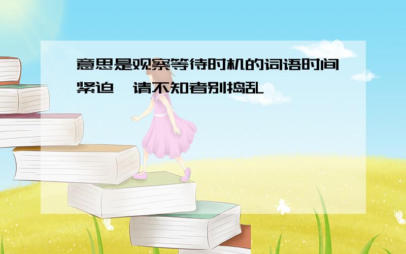 意思是观察等待时机的词语时间紧迫,请不知者别捣乱