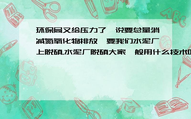 环保局又给压力了,说要总量消减氮氧化物排放,要我们水泥厂上脱硝.水泥厂脱硝大家一般用什么技术呀?