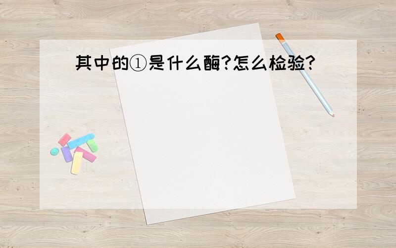 其中的①是什么酶?怎么检验?