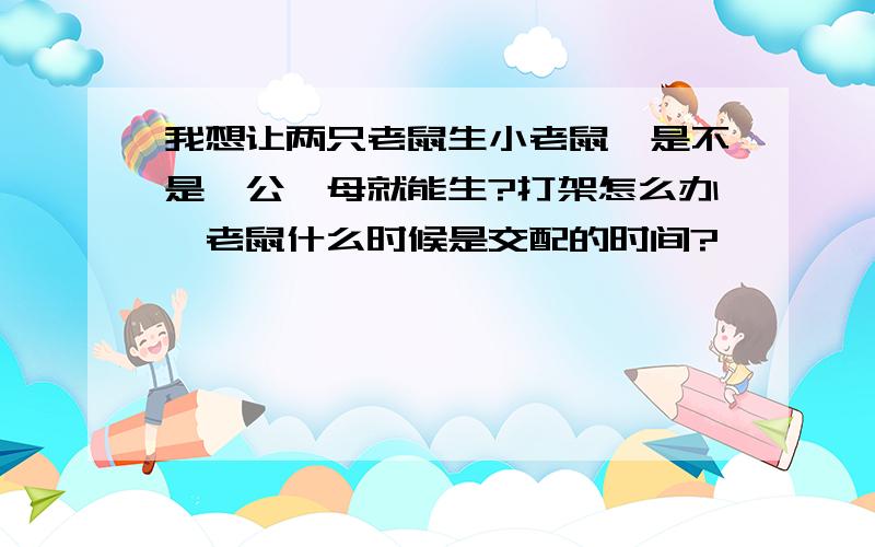 我想让两只老鼠生小老鼠,是不是一公一母就能生?打架怎么办,老鼠什么时候是交配的时间?