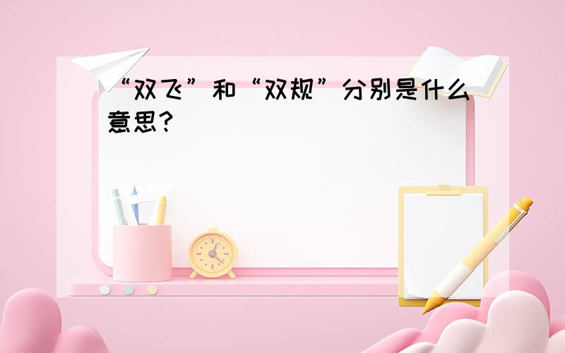 “双飞”和“双规”分别是什么意思?