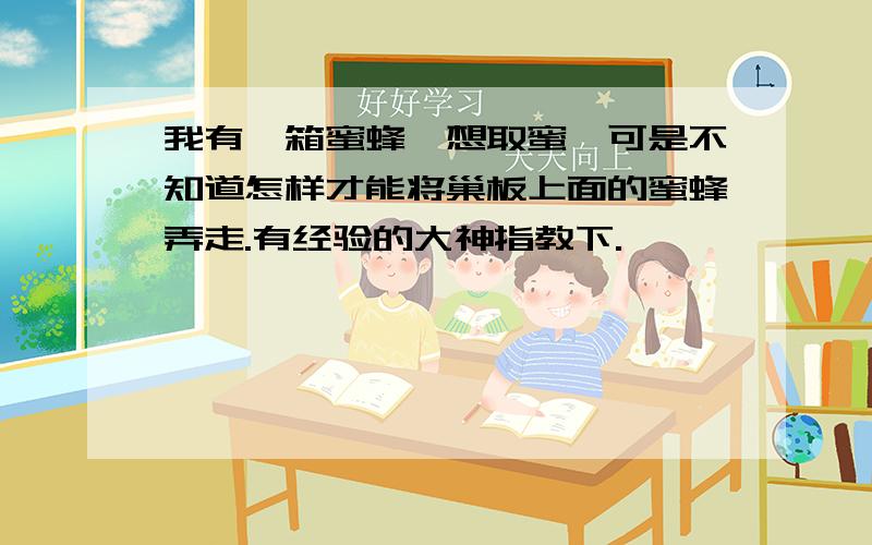 我有一箱蜜蜂,想取蜜,可是不知道怎样才能将巢板上面的蜜蜂弄走.有经验的大神指教下.