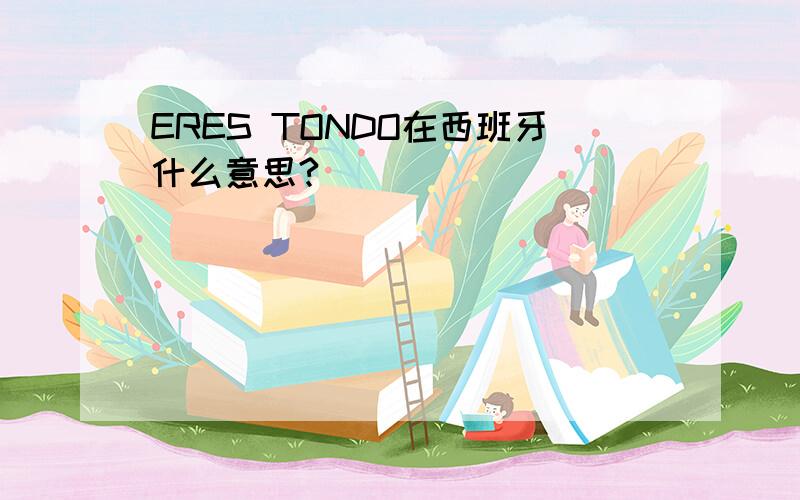 ERES TONDO在西班牙什么意思?