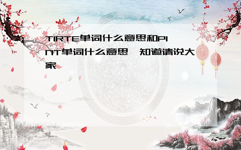 TIRTE单词什么意思和PINT单词什么意思,知道请说大家