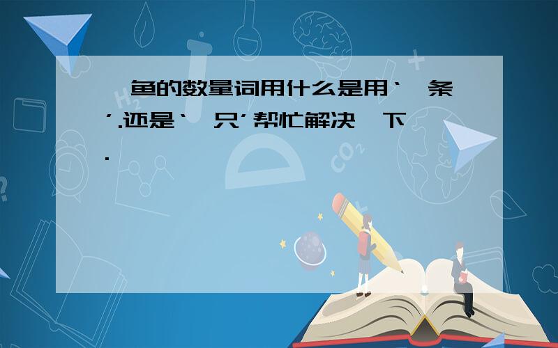 鲨鱼的数量词用什么是用‘一条’.还是‘一只’帮忙解决一下.