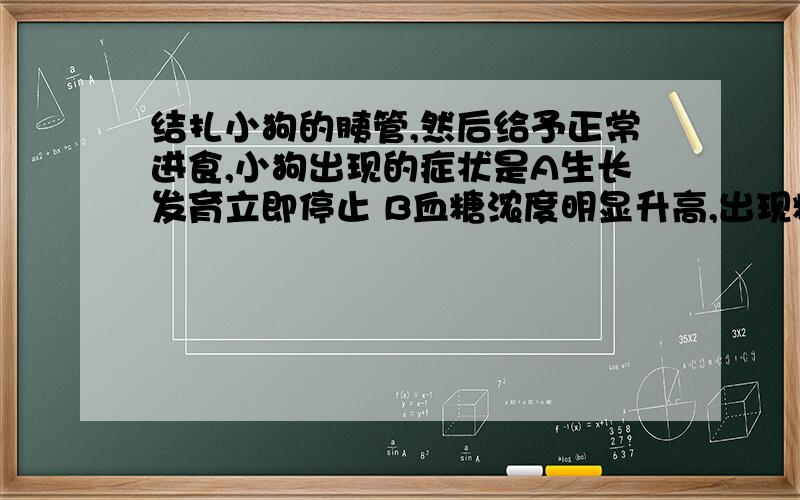 结扎小狗的胰管,然后给予正常进食,小狗出现的症状是A生长发育立即停止 B血糖浓度明显升高,出现糖尿症C消化不良 D尿量减少,体温身高 是C吗,为什么