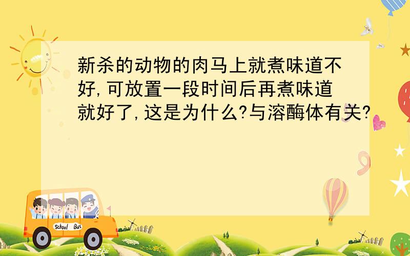 新杀的动物的肉马上就煮味道不好,可放置一段时间后再煮味道就好了,这是为什么?与溶酶体有关?