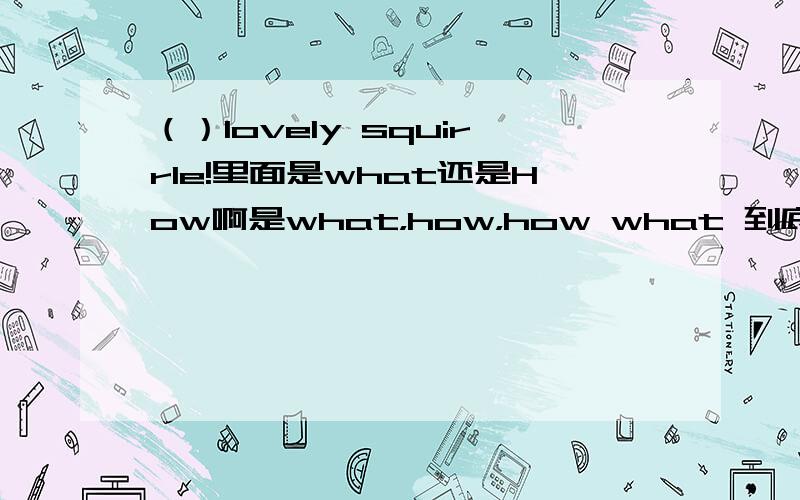 （）lovely squirrle!里面是what还是How啊是what，how，how what 到底是哪一个