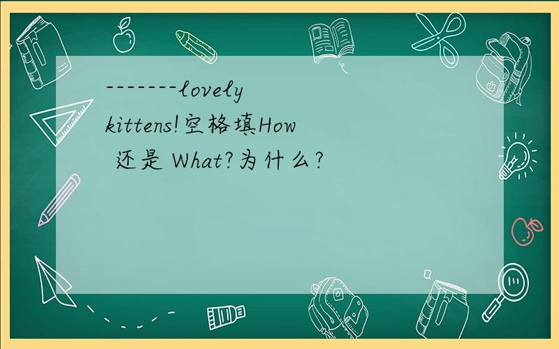 -------lovely kittens!空格填How 还是 What?为什么?