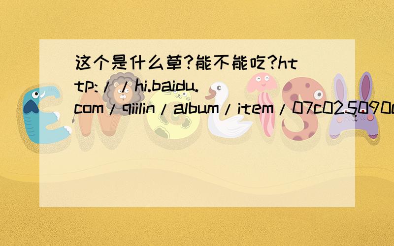 这个是什么草?能不能吃?http://hi.baidu.com/qiilin/album/item/07c025090c6d399c3ac763c6.html#