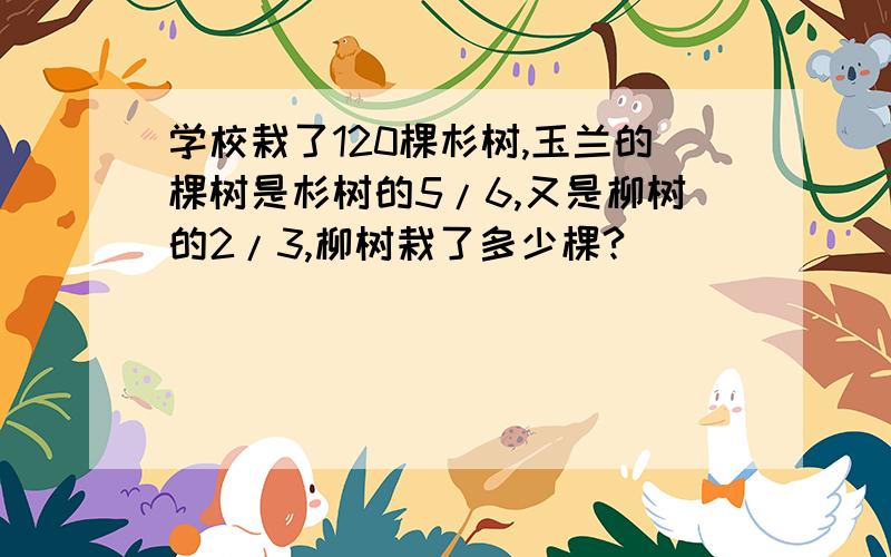 学校栽了120棵杉树,玉兰的棵树是杉树的5/6,又是柳树的2/3,柳树栽了多少棵?