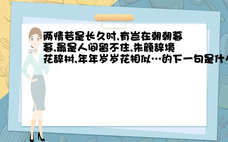 两情若是长久时,有岂在朝朝暮暮,最是人间留不住,朱颜辞境花辞树,年年岁岁花相似…的下一句是什么啊