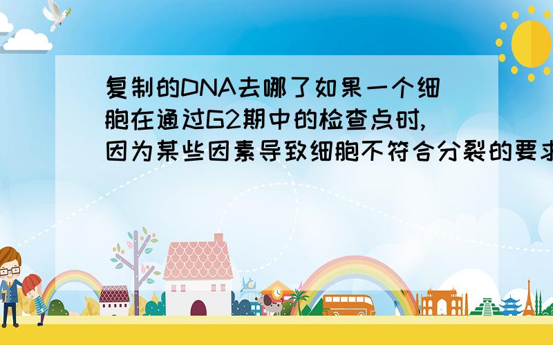 复制的DNA去哪了如果一个细胞在通过G2期中的检查点时,因为某些因素导致细胞不符合分裂的要求,则细胞中多出的那一组DNA将会被怎样处理?