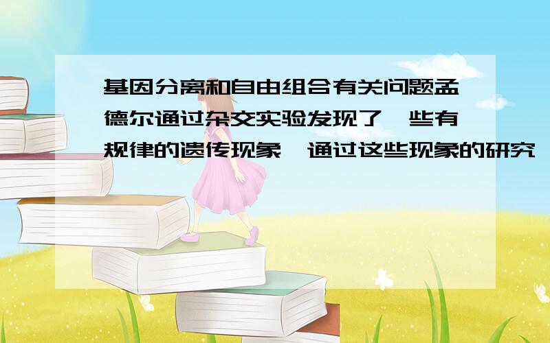 基因分离和自由组合有关问题孟德尔通过杂交实验发现了一些有规律的遗传现象,通过这些现象的研究,他揭示了遗传的两个定律,在下列各项中,除哪项外,都是出现这些有规律遗传现象不可缺