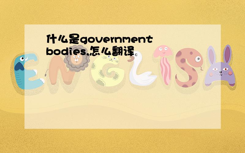 什么是government bodies,怎么翻译