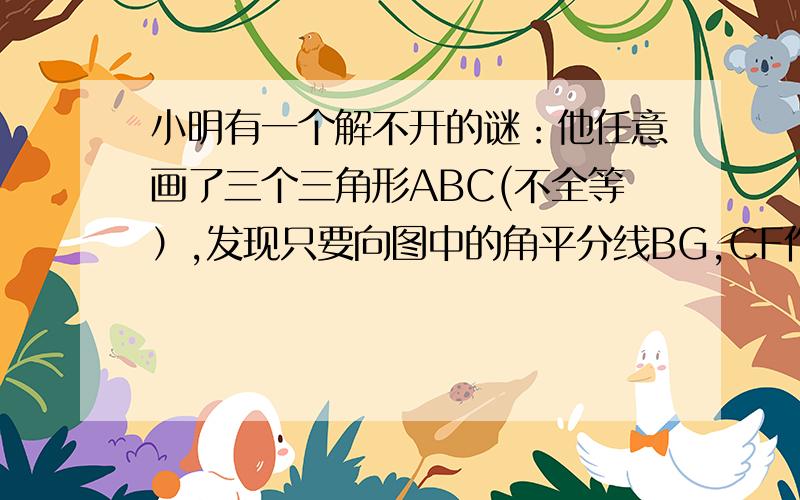 小明有一个解不开的谜：他任意画了三个三角形ABC(不全等）,发现只要向图中的角平分线BG,CF作垂线AG,AF,连接两垂足F,G则FG总是与BC平行,但他不会证明,