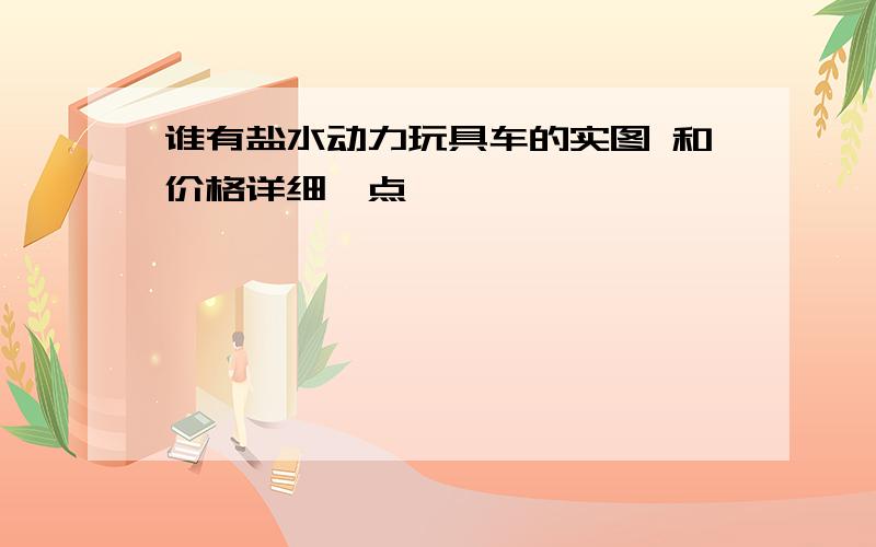 谁有盐水动力玩具车的实图 和价格详细一点