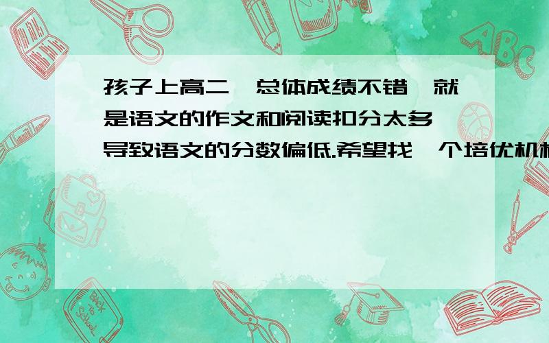 孩子上高二,总体成绩不错,就是语文的作文和阅读扣分太多,导致语文的分数偏低.希望找一个培优机构!家住武昌南湖,希望找一个负责任口碑好离家近的!