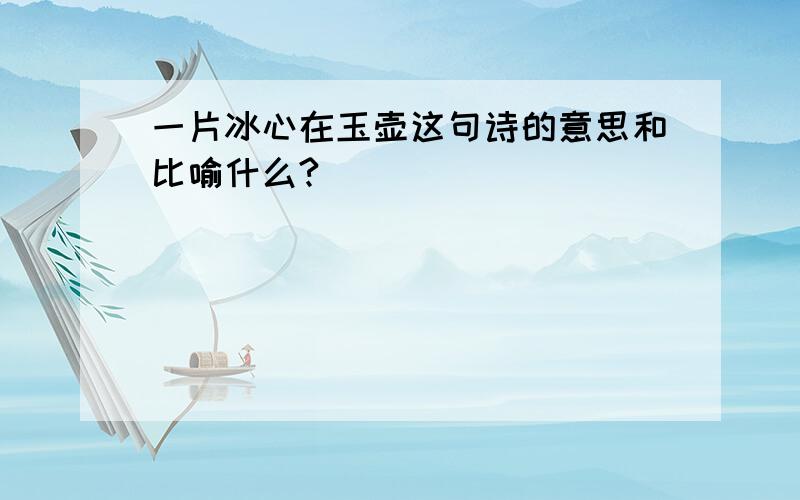 一片冰心在玉壶这句诗的意思和比喻什么?