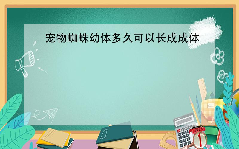 宠物蜘蛛幼体多久可以长成成体