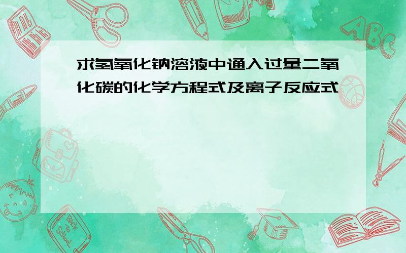 求氢氧化钠溶液中通入过量二氧化碳的化学方程式及离子反应式