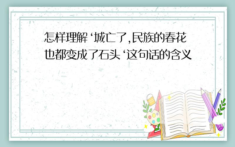 怎样理解‘城亡了,民族的春花也都变成了石头‘这句话的含义