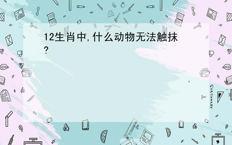 12生肖中,什么动物无法触抹?