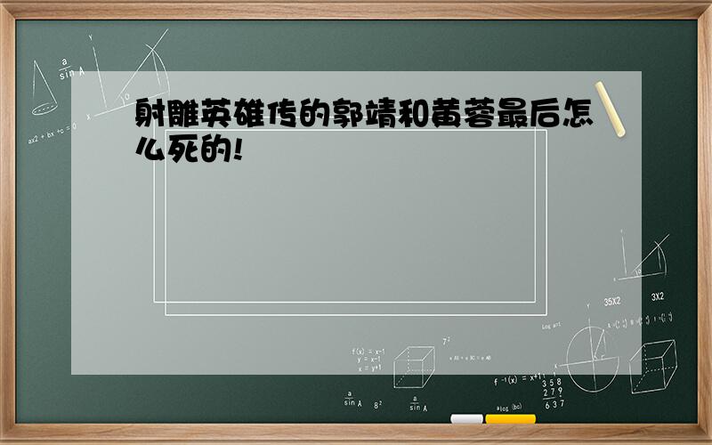 射雕英雄传的郭靖和黄蓉最后怎么死的!