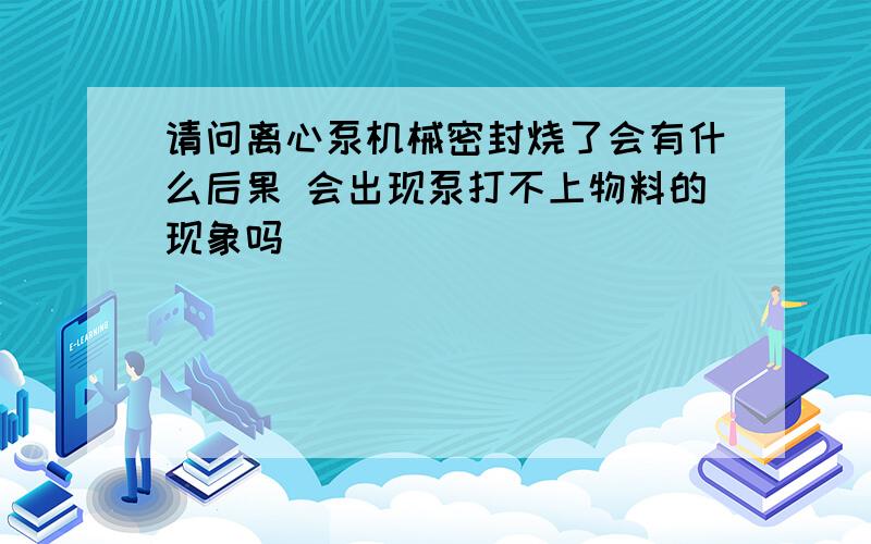 请问离心泵机械密封烧了会有什么后果 会出现泵打不上物料的现象吗