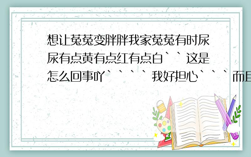 想让菟菟变胖胖我家菟菟有时尿尿有点黄有点红有点白``这是怎么回事吖````我好担心```而且我想譲喔家菟菟长胖点```有什么办法么```多吃不就会长得快么?