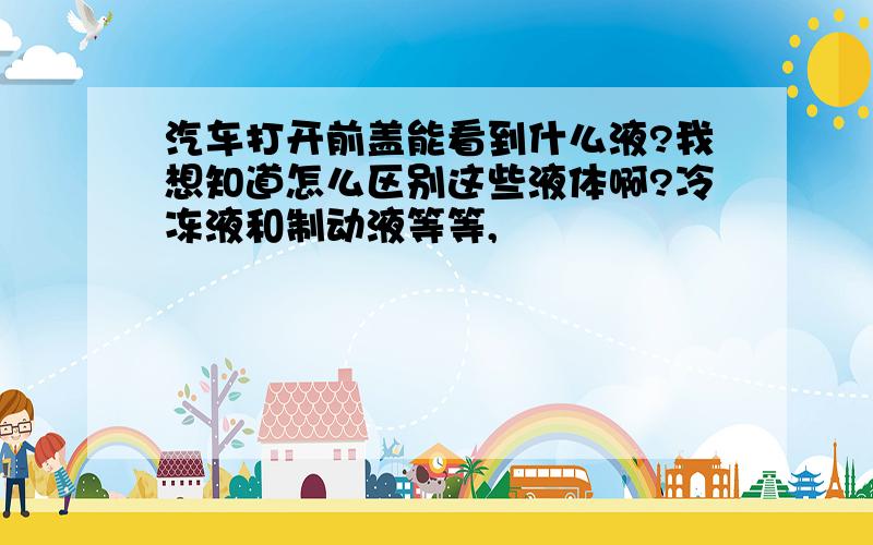 汽车打开前盖能看到什么液?我想知道怎么区别这些液体啊?冷冻液和制动液等等,