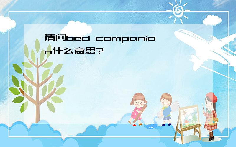 请问bed companion什么意思?