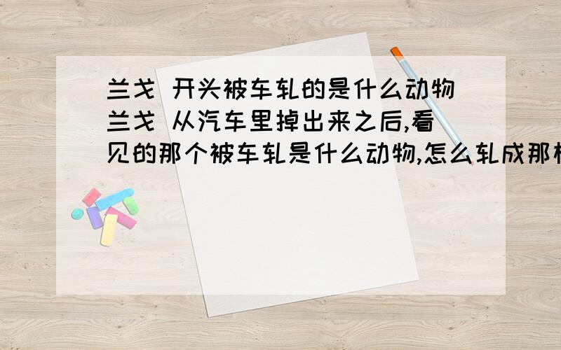 兰戈 开头被车轧的是什么动物兰戈 从汽车里掉出来之后,看见的那个被车轧是什么动物,怎么轧成那样子了都没死