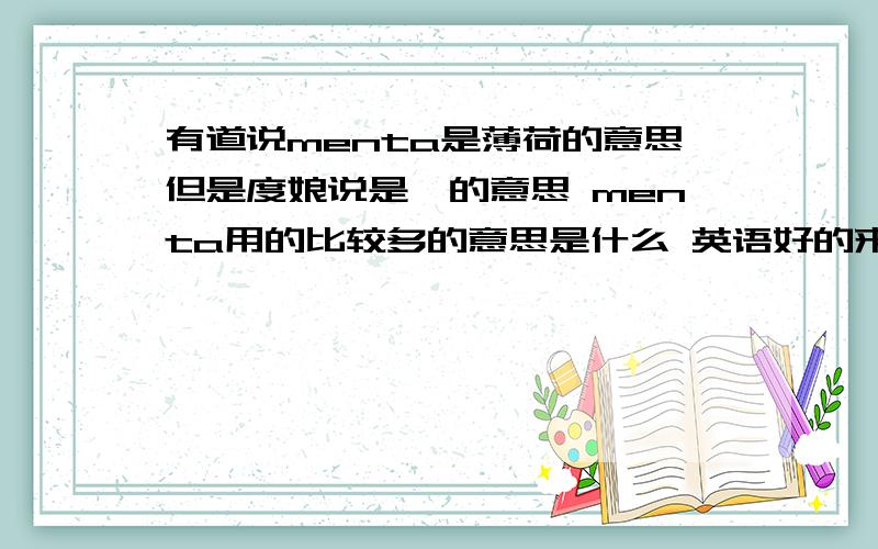 有道说menta是薄荷的意思但是度娘说是颏的意思 menta用的比较多的意思是什么 英语好的来 查词典什么的就算了