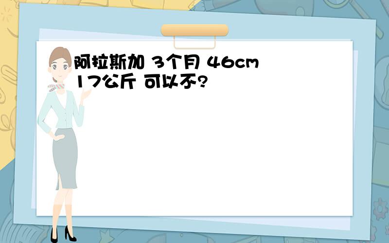 阿拉斯加 3个月 46cm 17公斤 可以不?