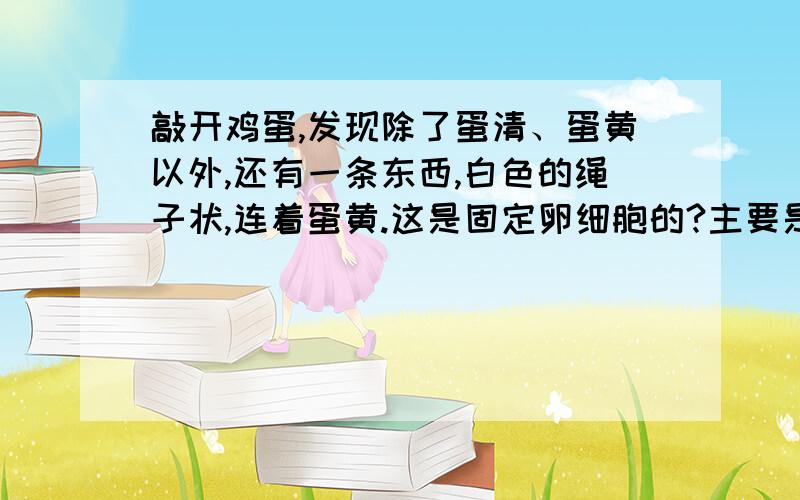 敲开鸡蛋,发现除了蛋清、蛋黄以外,还有一条东西,白色的绳子状,连着蛋黄.这是固定卵细胞的?主要是今天查了一下人造蛋的信息，不确定这条白色小带是否可以作为真鸡蛋凭证之一。再没有