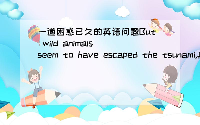 一道困惑已久的英语问题But wild animals seem to have escaped the tsunami,further()that they possess a 
