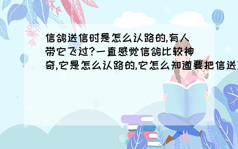 信鸽送信时是怎么认路的,有人带它飞过?一直感觉信鸽比较神奇,它是怎么认路的,它怎么知道要把信送到哪呢?可是即使是这样，它是不是之前也应该记过路啊？