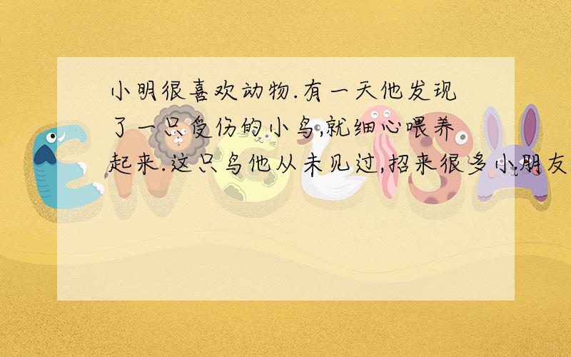 小明很喜欢动物.有一天他发现了一只受伤的小鸟,就细心喂养起来.这只鸟他从未见过,招来很多小朋友看,小鸟伤后以后小明却不舍得放鸟回大自然请你劝劝他 你会说：“是我帮他治好的呀”