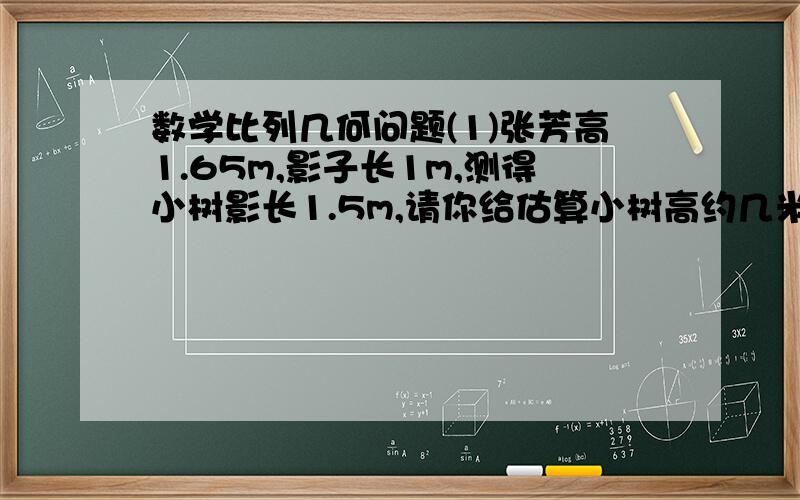 数学比列几何问题(1)张芳高1.65m,影子长1m,测得小树影长1.5m,请你给估算小树高约几米（精确0.1)（2）已知矩形纸片ABCD沿折痕BE向上翻折,A点恰好落在CD边上,设此点F,AE:ED=5：3 BE=5根5,求此矩形长