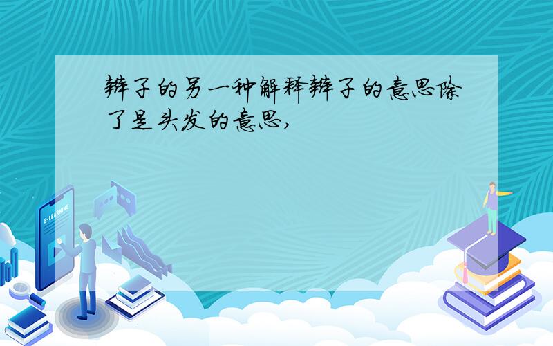 辫子的另一种解释辫子的意思除了是头发的意思,