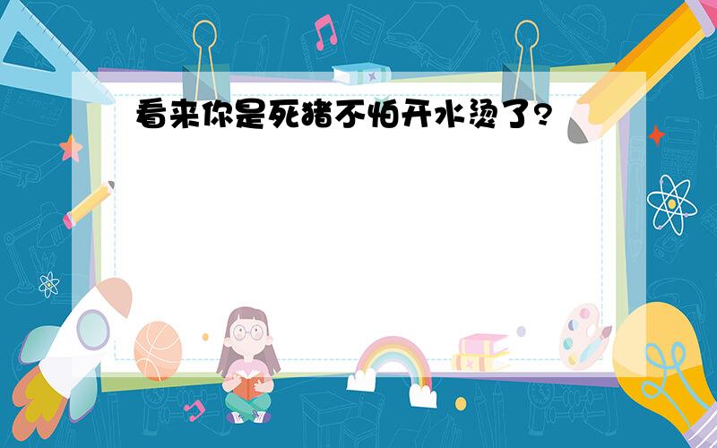 看来你是死猪不怕开水烫了?