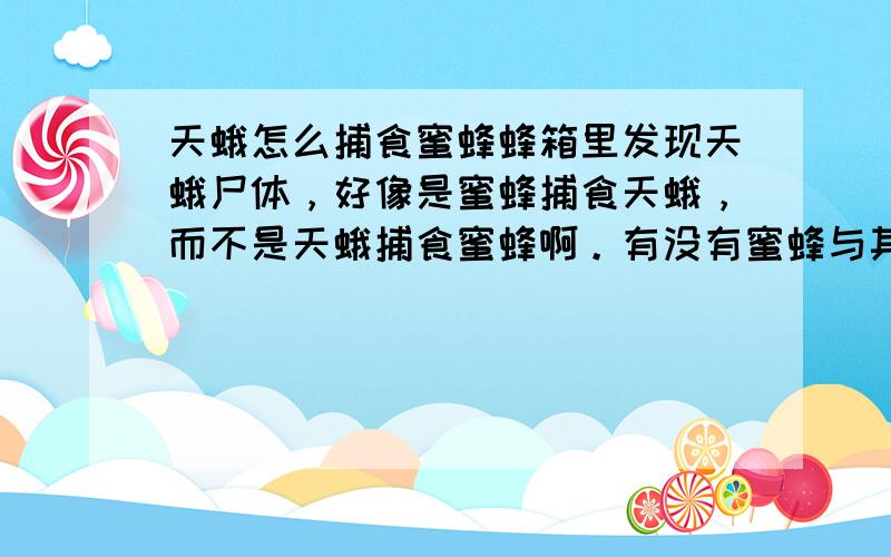 天蛾怎么捕食蜜蜂蜂箱里发现天蛾尸体，好像是蜜蜂捕食天蛾，而不是天蛾捕食蜜蜂啊。有没有蜜蜂与其他昆虫的战斗资料，我想多了解些这方面的知识，