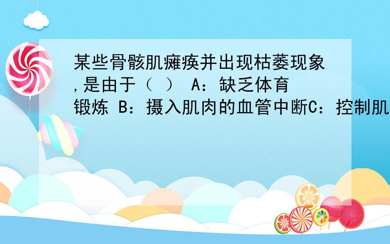 某些骨骸肌瘫痪并出现枯萎现象,是由于（ ） A：缺乏体育锻炼 B：摄入肌肉的血管中断C：控制肌肉的神经受损D：肌细胞死亡