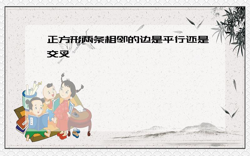 正方形两条相邻的边是平行还是交叉