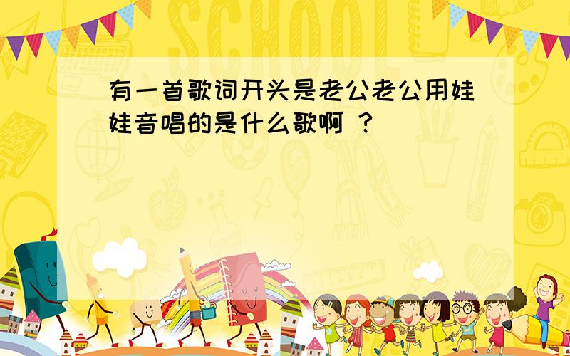 有一首歌词开头是老公老公用娃娃音唱的是什么歌啊 ?