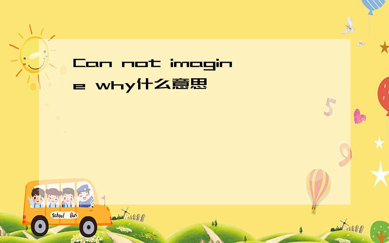 Can not imagine why什么意思