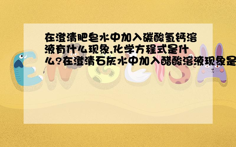 在澄清肥皂水中加入碳酸氢钙溶液有什么现象,化学方程式是什么?在澄清石灰水中加入醋酸溶液现象是什么，化学方程式是什么？