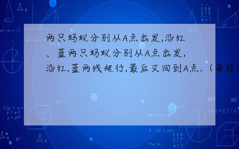 两只蚂蚁分别从A点出发,沿红、蓝两只蚂蚁分别从A点出发,沿红,蓝两线爬行,最后又回到A点.（每段爬完但不重复）哪只蚂蚁爬的路线长?为什么?要原因