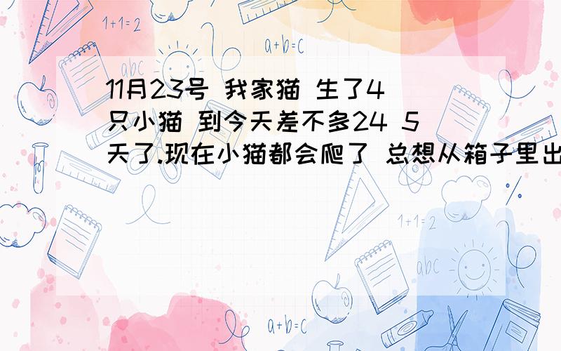 11月23号 我家猫 生了4只小猫 到今天差不多24 5天了.现在小猫都会爬了 总想从箱子里出来 总是不停地叫唤!我能把它们 都放出来养么?但是 我一抱出来 大猫就叼着它们 找地方藏 该怎么办?好